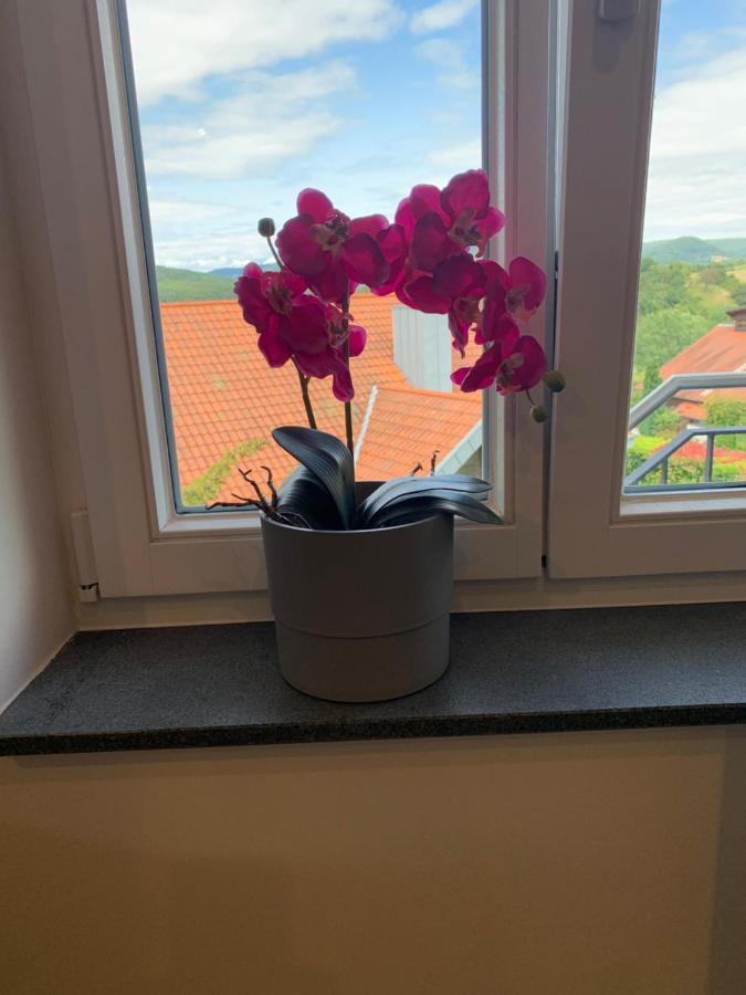 Appartement Freiraum à Annweiler am Trifels Extérieur photo