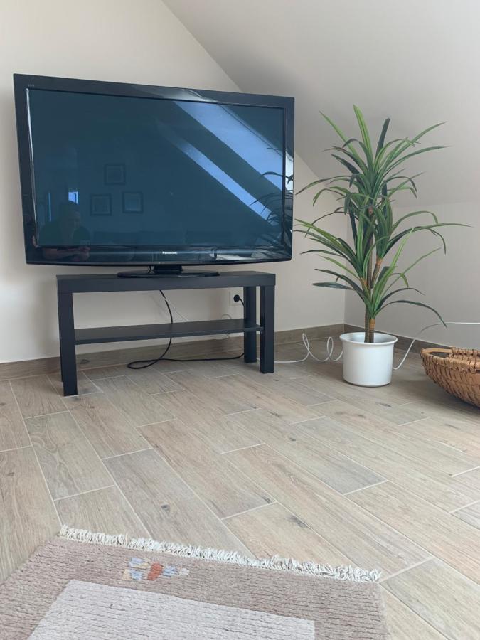 Appartement Freiraum à Annweiler am Trifels Extérieur photo